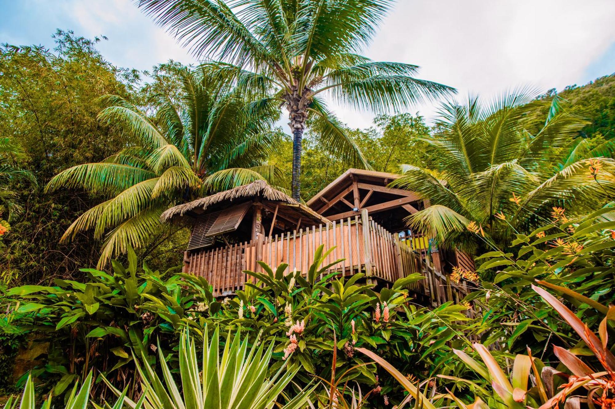 West Indies Cottage ปวงต์-นัวร์ ภายนอก รูปภาพ